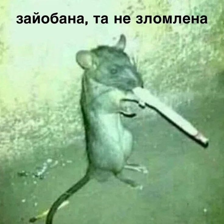 67 дбд играть